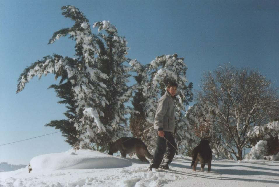 Neve al passo del Lupo 31/01/2004