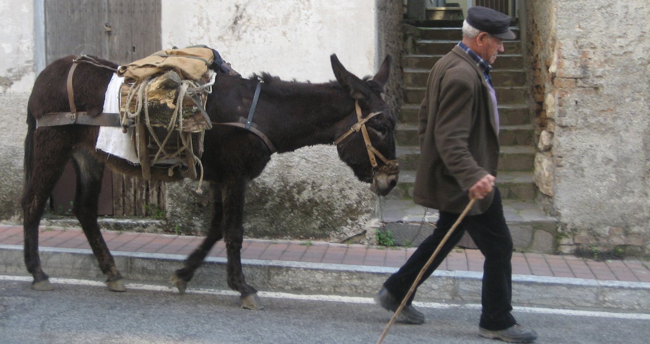 A SPASSO CON L’ASINA