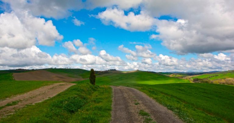 TUTTO PRONTO PER LA PRIMAVERA