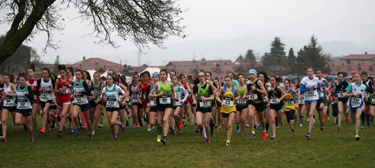 Fase Provinciale di corsa campestre 8 Fase Provinciale di corsa campestre
