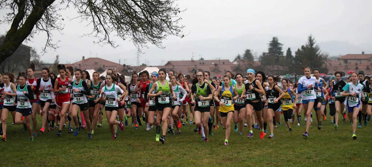 Fase Provinciale di corsa campestre