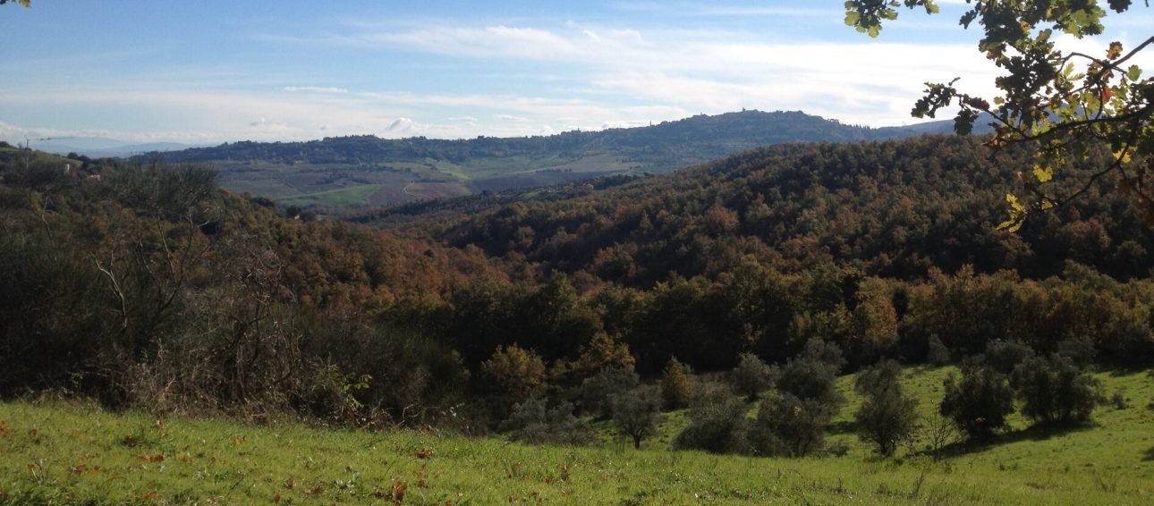1° TRAIL dei 3 Conventi Montefollonico Prorogata a Venerdì 7 Febbraio la scadenza per l'iscrizione ridotta a 15 € 4 1° TRAIL dei 3 Conventi Montefollonico Prorogata a Venerdì 7 Febbraio la scadenza per l’iscrizione ridotta a 15 €