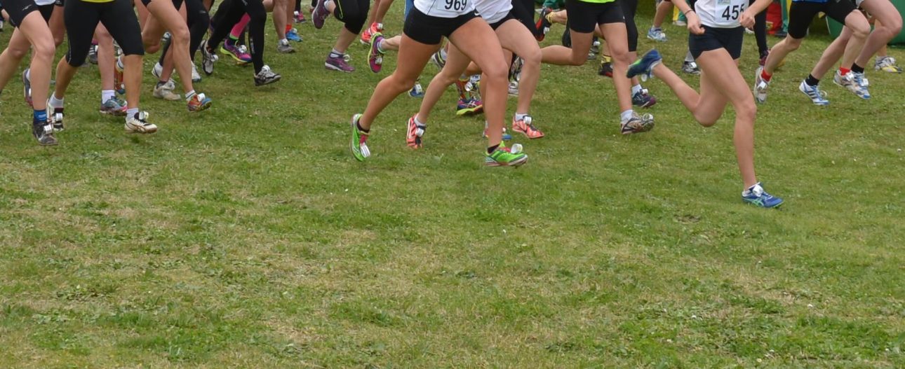 62° Campionato Nazionale di Corsa Campestre a Sinalunga del 13/03/2016