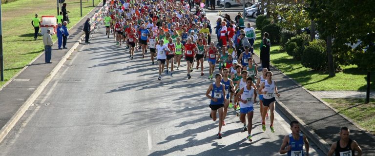 13 Ottobre 2019 44à Passeggiata alla Fiera
