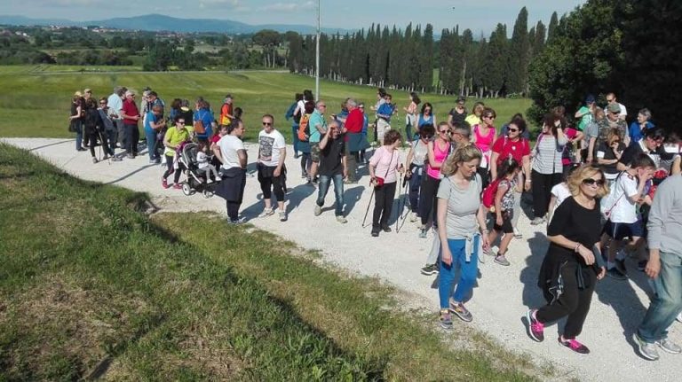 Sinalunga Cammina 2019 25 Aprile EcoPasseggiata alla Sorgente dell'acqua passante. 2 Sinalunga Cammina 2019 25 Aprile EcoPasseggiata alla Sorgente dell’acqua passante.