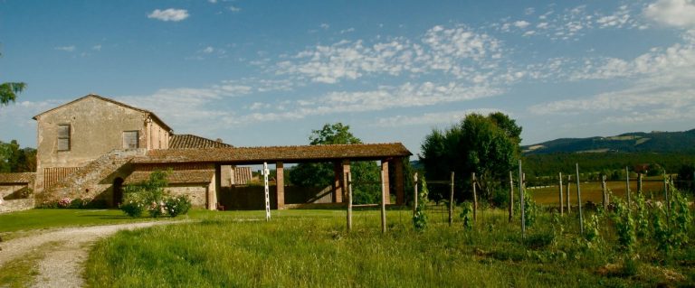 Sabato 1 Giugno 2019 Passeggiata tra boschi e vigne dell'Amorosa 1 Locanda dell'Amorosa