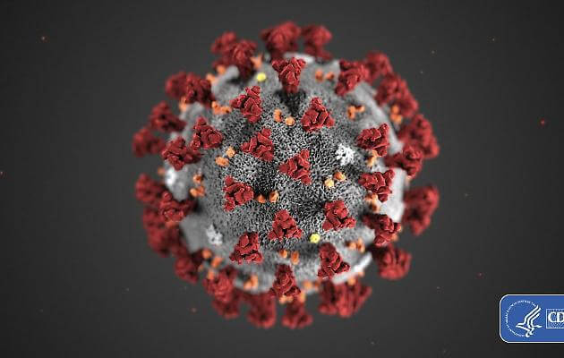 d2741 1582367674783.jpg coronavirus le dieci cose da sapere per limitare i rischi del contagio ecco come si trasmette il virus