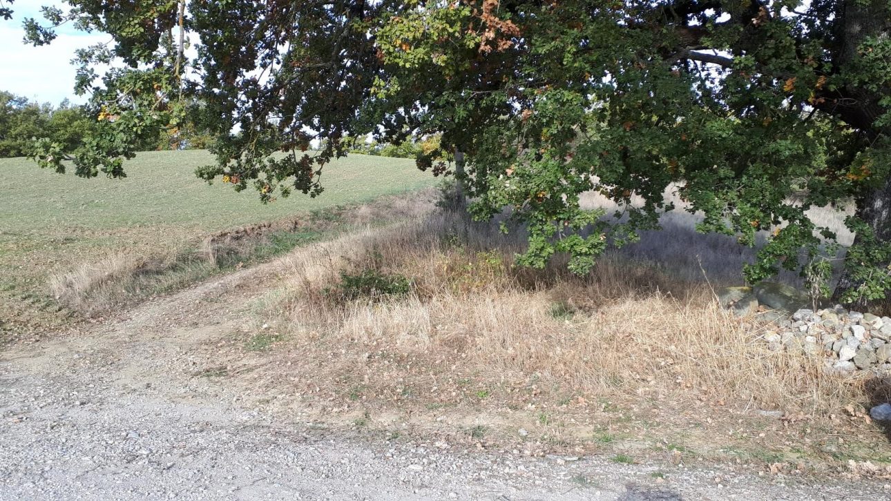 Rigaiolo Petriolo km 14 5 20211027 100403