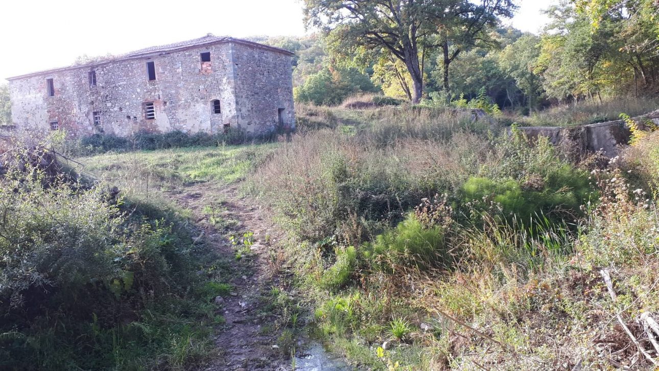 Rigaiolo Petriolo km 14 10 20211027 101011