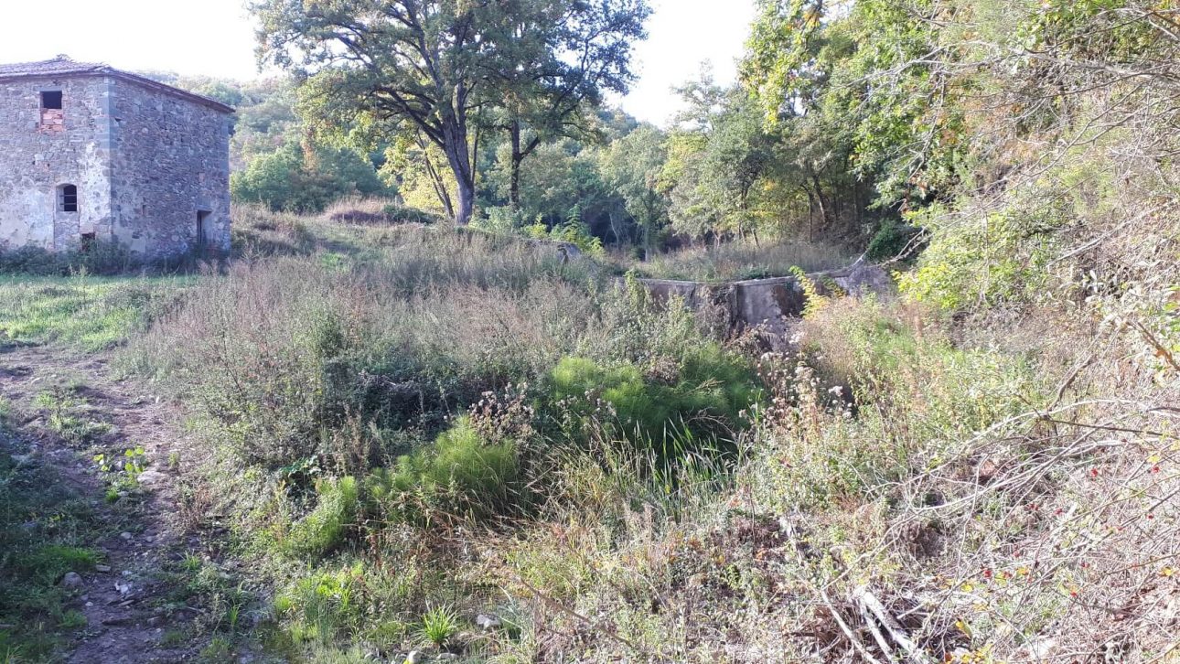 Rigaiolo Petriolo km 14 11 20211027 101015