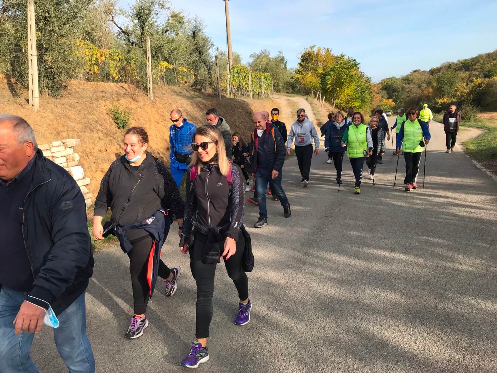 Camminata tra gli Olivi