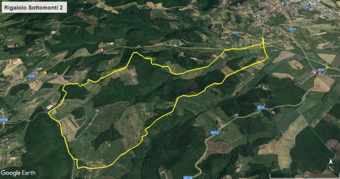 Rigaiolo Sottomonti 2 2 Rigaiolo sottomonti 2