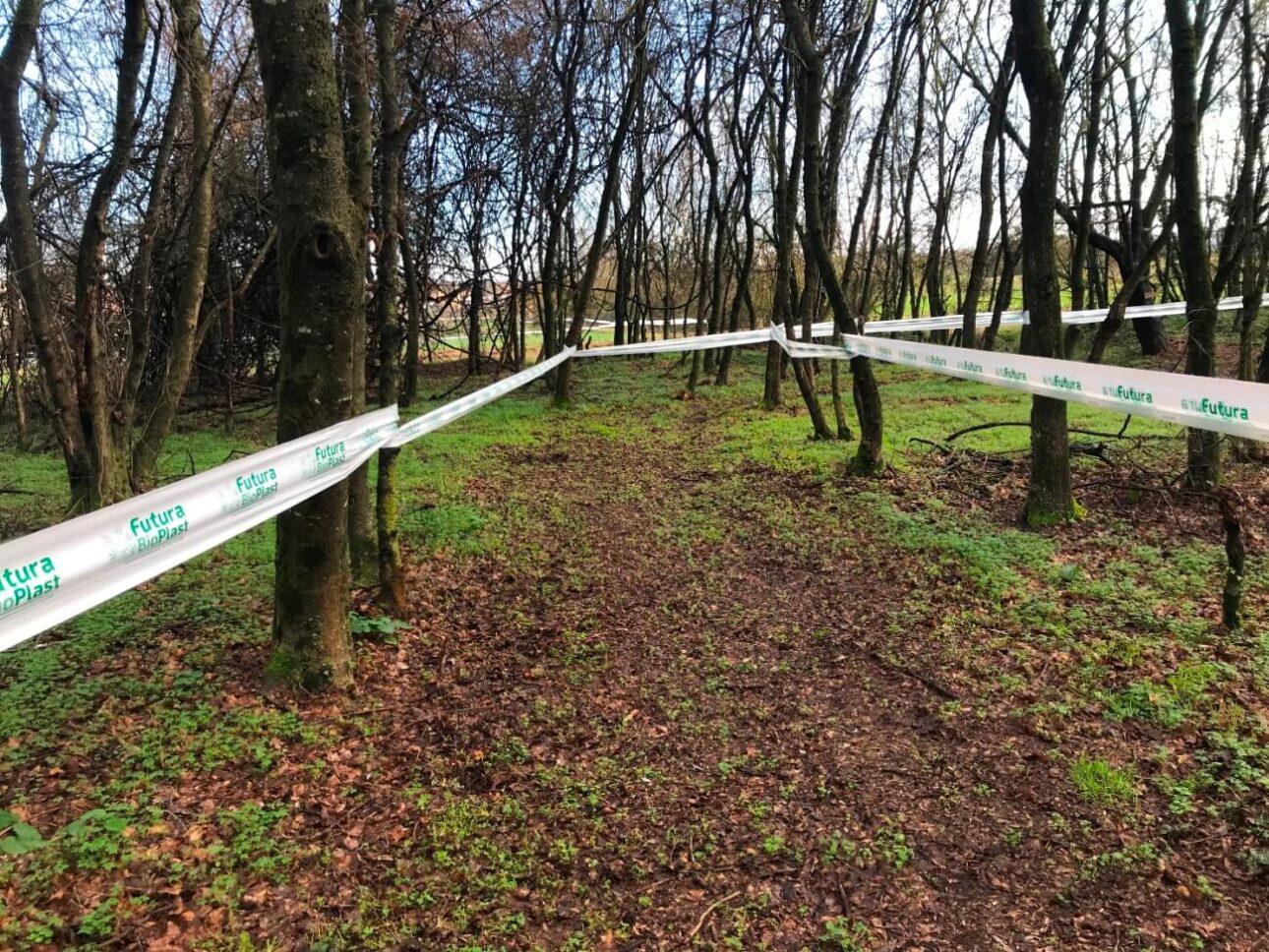 CDS Cross Toscana FIDAL 03