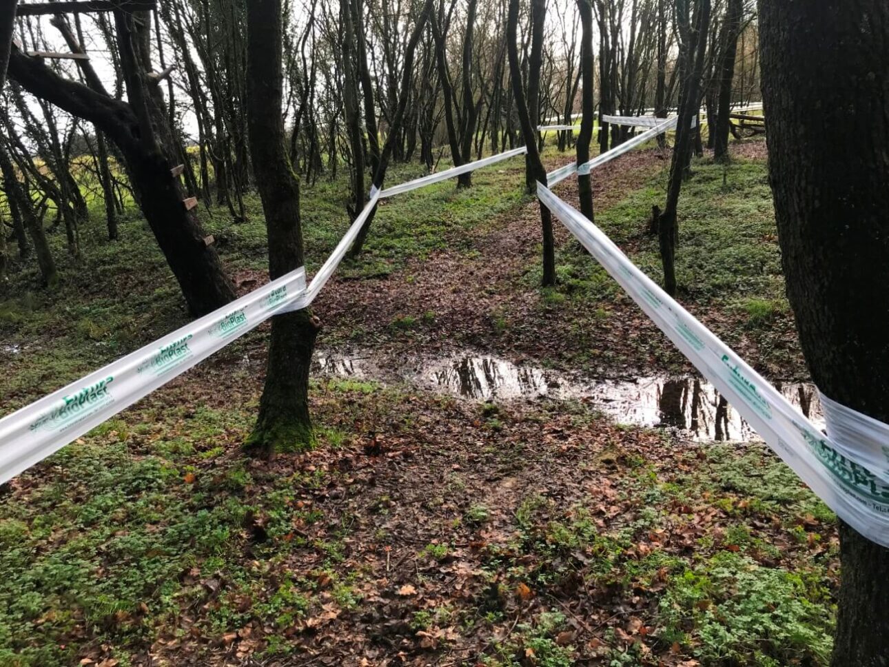 CDS Cross Toscana FIDAL 04