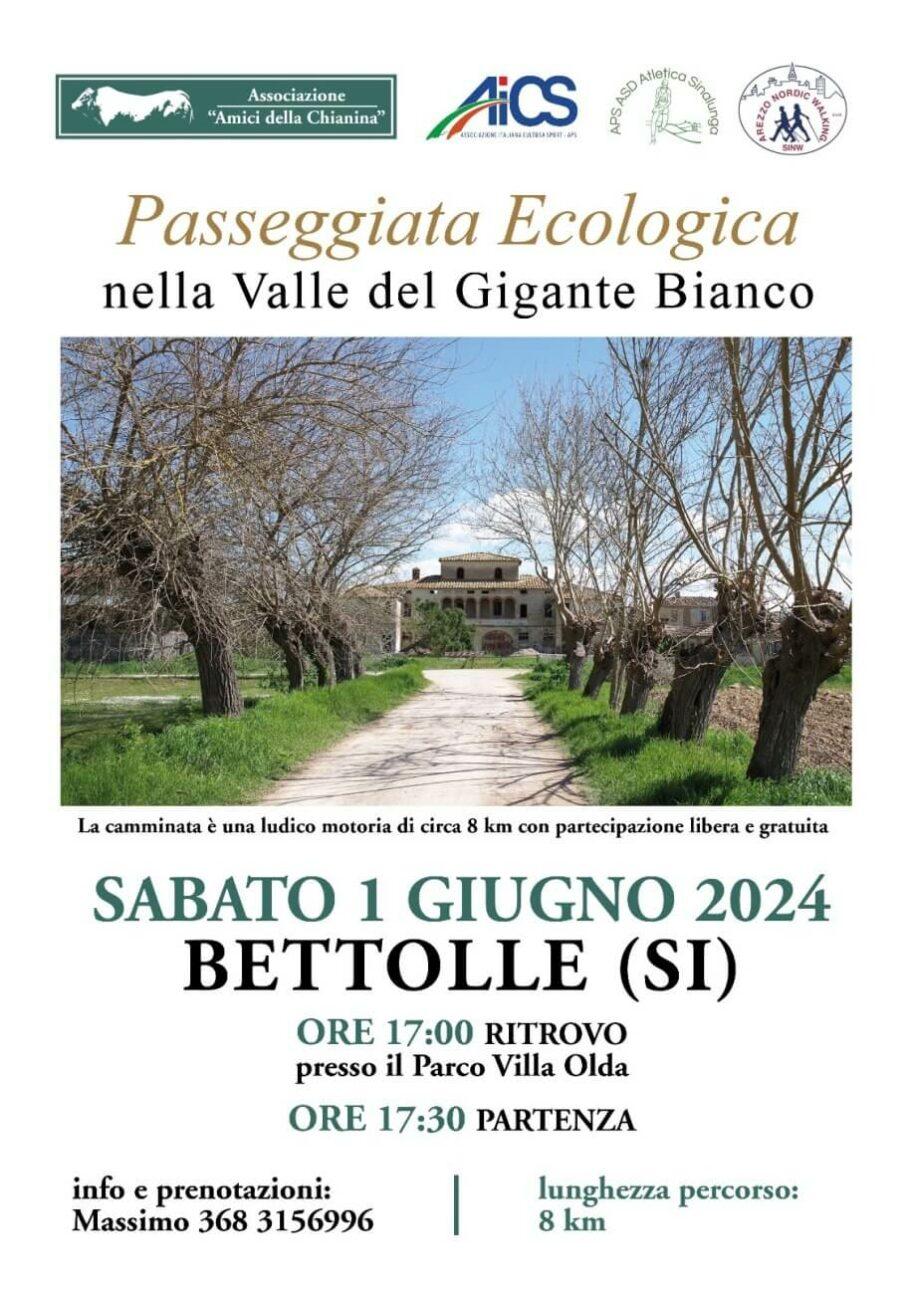 Passeggiata Ecologica nella Valle del Gigante Bianco 2 passeggiata ecologica