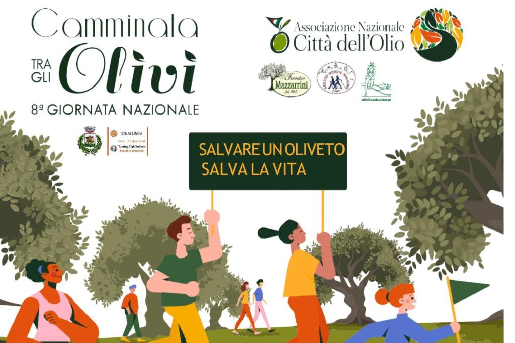 camminata tra gli olivi