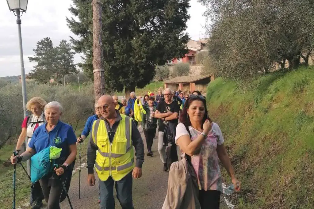 camminata tra gli olivi