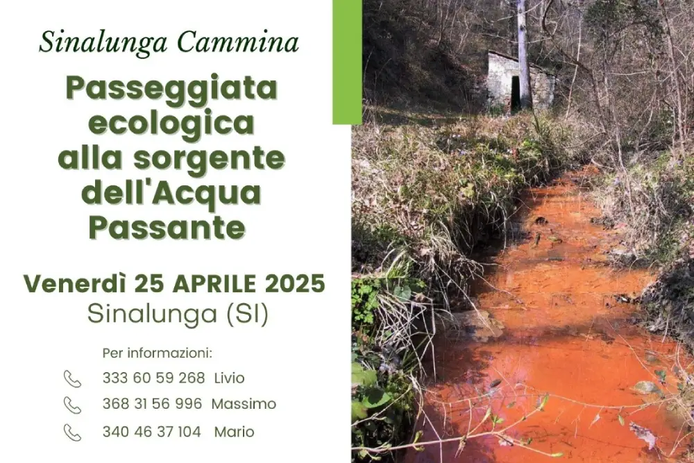 sinalunga cammina