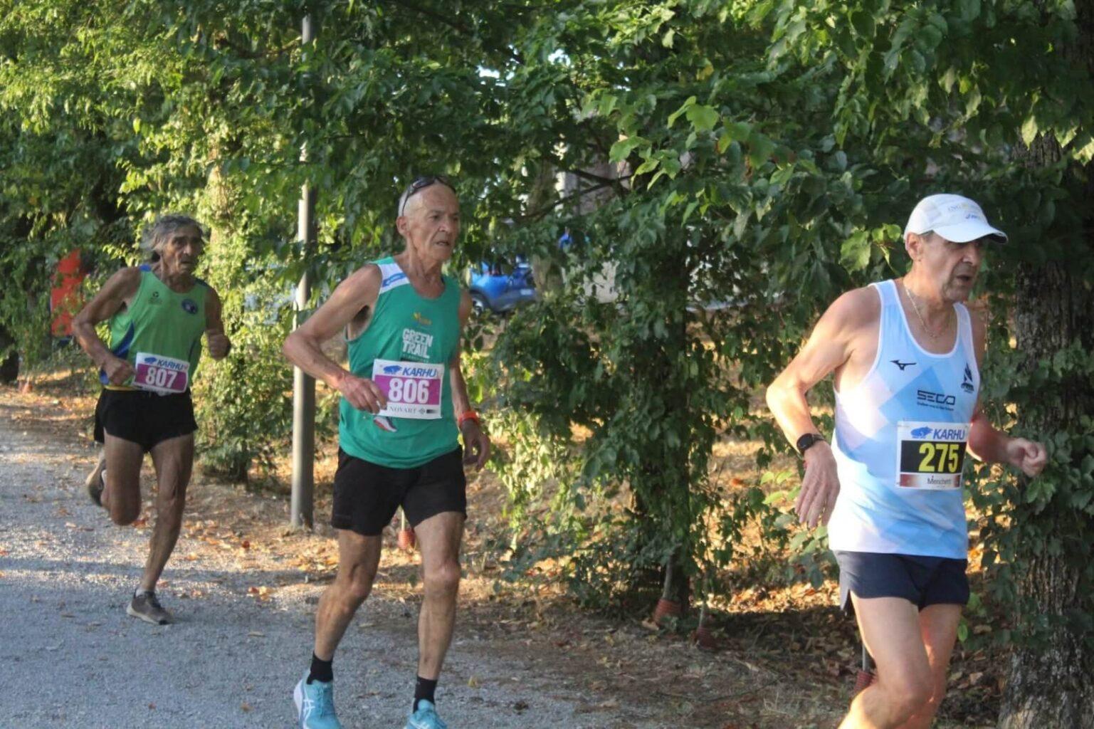 11° Circuito delle Vertighe, una bella serata di sport 10 771822445 28249287568067778 8169580831061440790 n