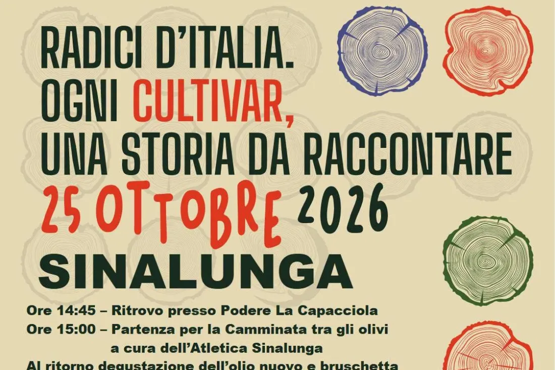 Camminata tra gli olivi